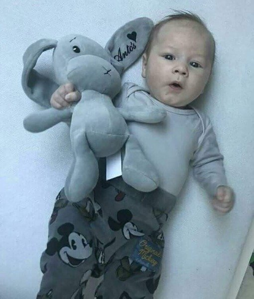 Effik Królik S personalizowany - Szary z Szarymi uszami 20 cm